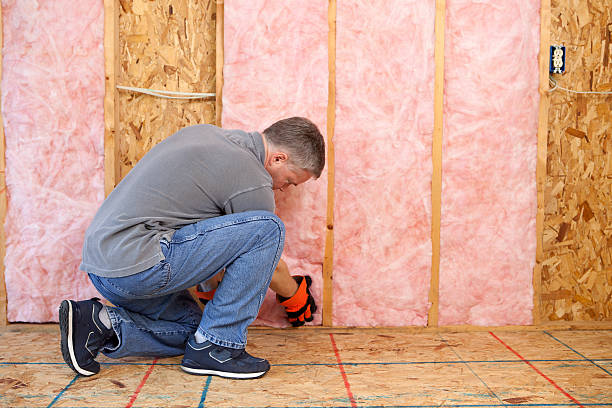 Eco-Friendly or Green Insulation Solutions in Palmer, TX